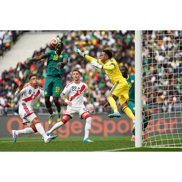 乐鱼体育APP官方登录入口 APP