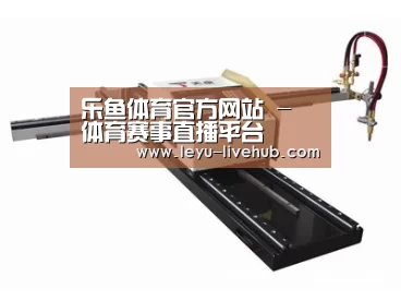 案例展示一