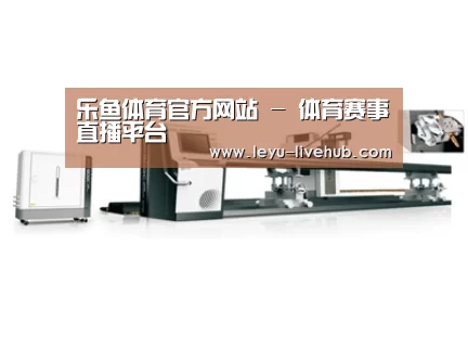 视频展示一