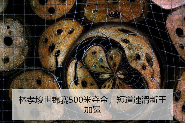 lin-xiao-jun-shi-jin-sai-mi-duo-jin-duan-dao-su-hua-xin-wang-jia-mian-3-358.jpg