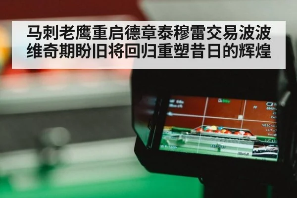 马刺老鹰重启德章泰穆雷交易波波维奇期盼旧将回归重塑昔日的辉煌