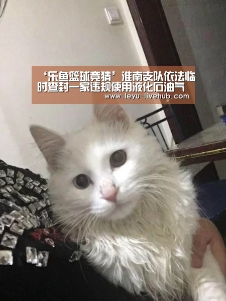 ‘乐鱼篮球竞猜’淮南支队依法临时查封一家违规使用液化石油气场所